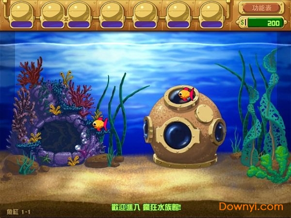 瘋狂水族館 瘋狂水族館