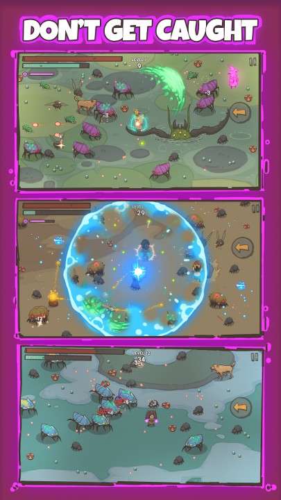 波波知了 波波知了