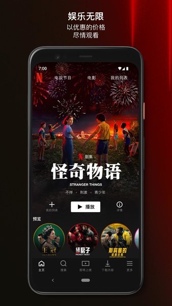 Netflix官方中文版軟件