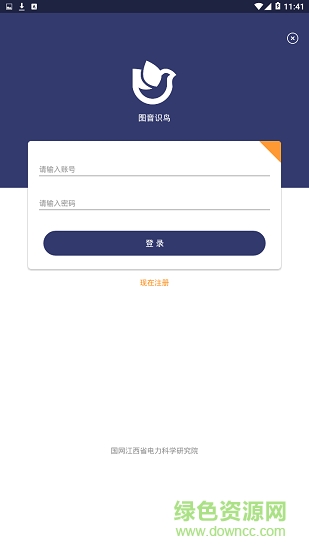 识鸟最新官方版