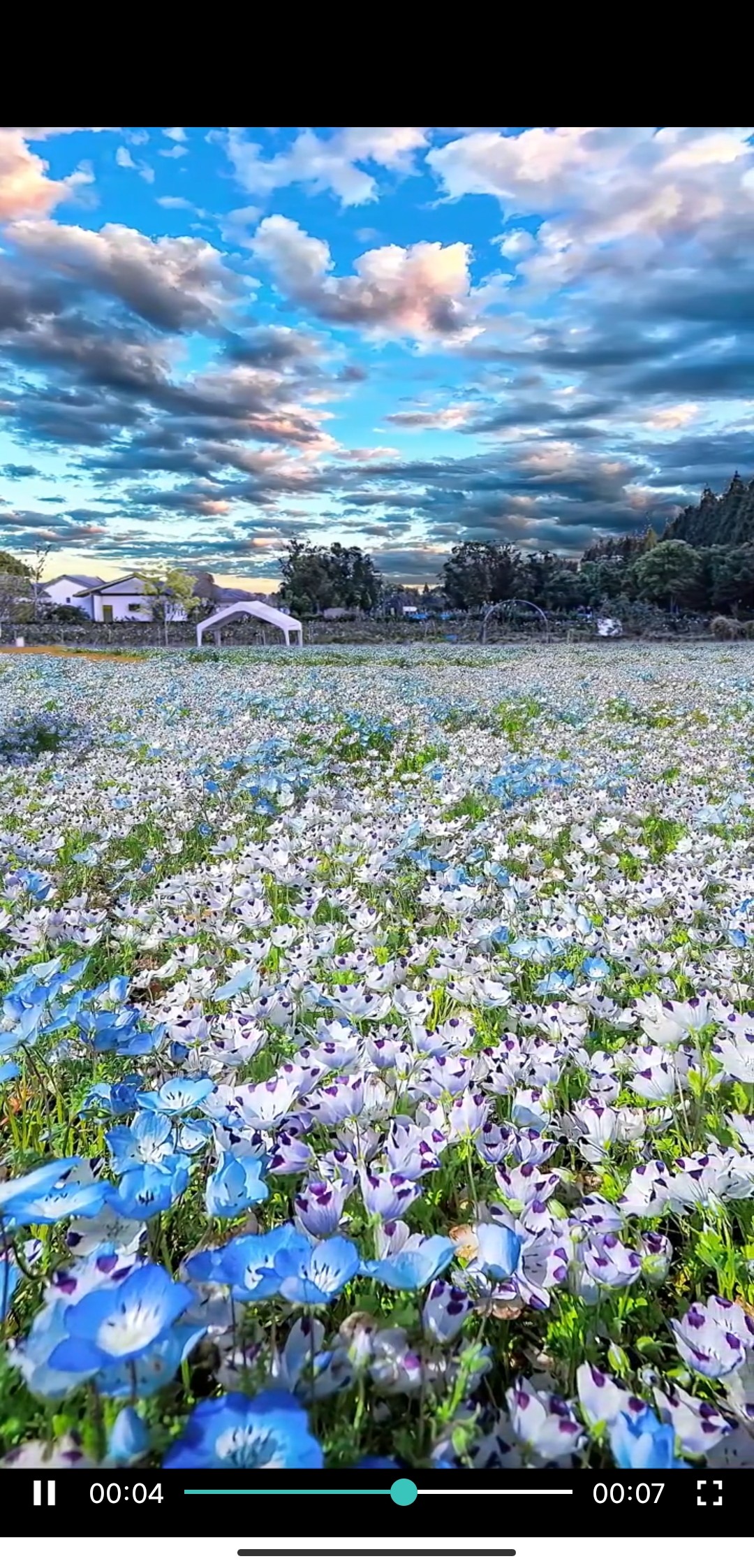 草莓視頻app下載污絲瓜視頻在線觀看 草莓視頻app下載污絲瓜視頻在線觀看