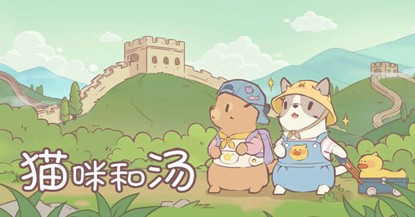 貓咪和湯安裝器