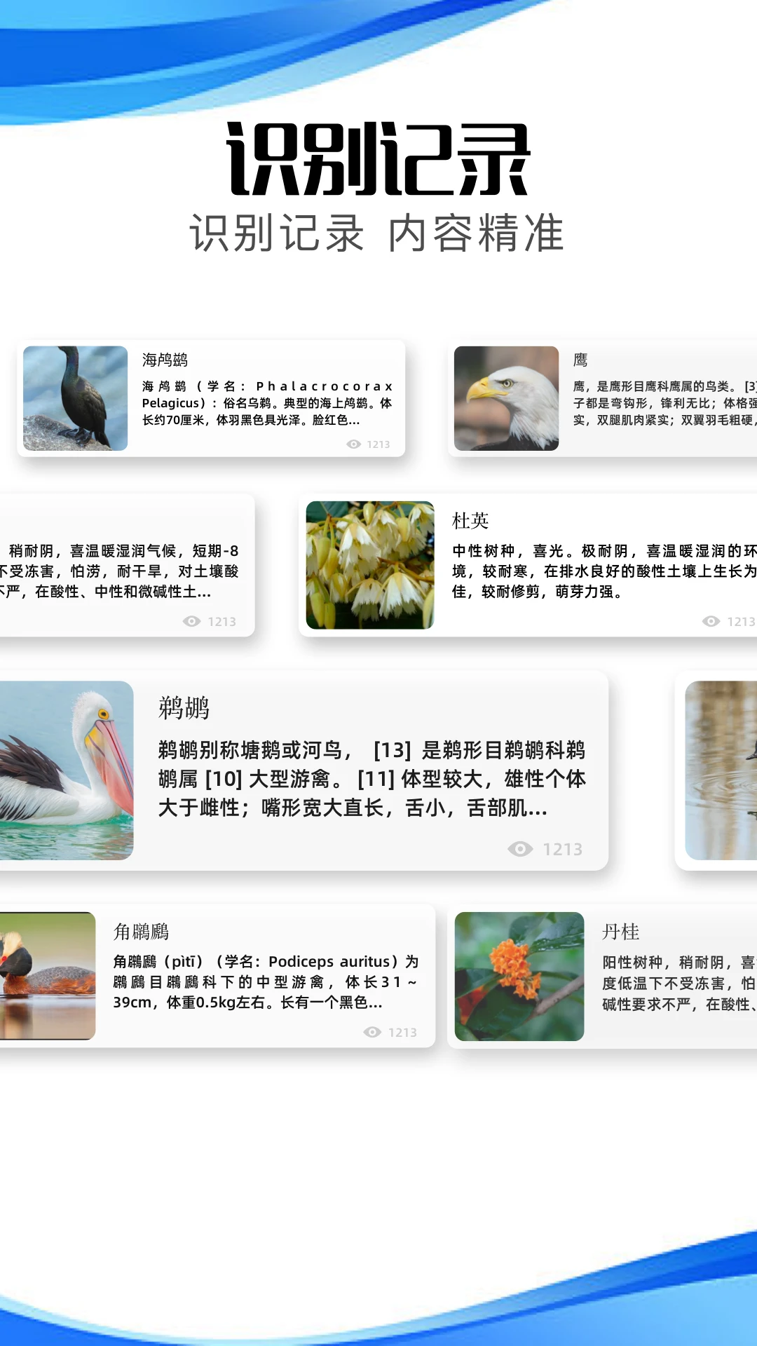 冷眸軟件庫(kù)lmrjk官網(wǎng)安卓版