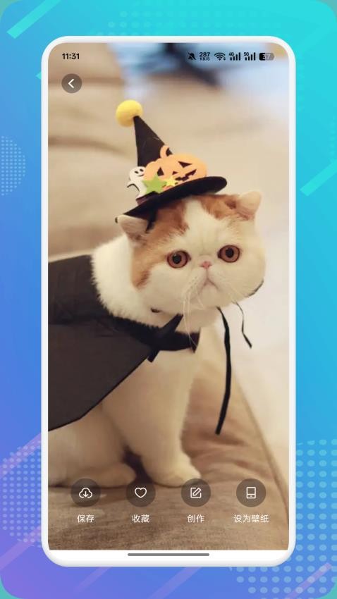 猫咪社区交友app最新版 猫咪社区交友app最新版