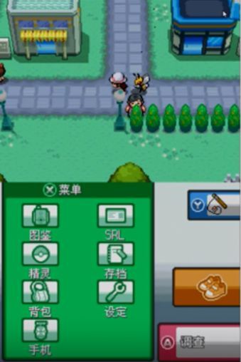 口袋妖怪：心金