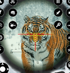 野生动物射击游戏3D安卓版