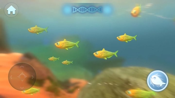 大魚吃小魚單機游戲最新2026官方版 大魚吃小魚單機游戲最新2026官方版