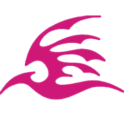 飞极速最新版本