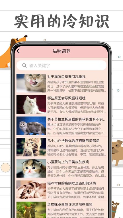 猫猫交流工具2026安卓版