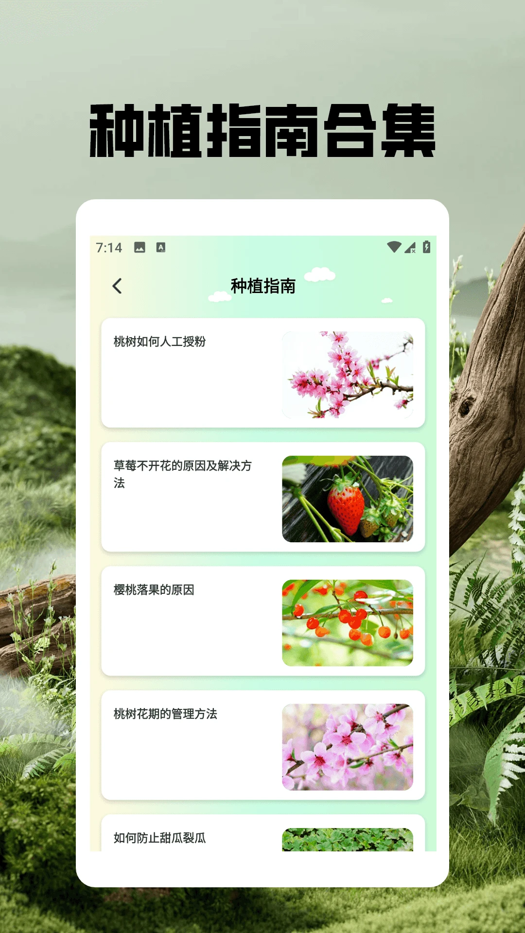 治愈农庄 治愈农庄