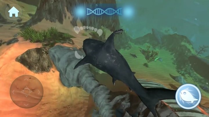 大魚吃小魚單機游戲最新2026官方版 大魚吃小魚單機游戲最新2026官方版