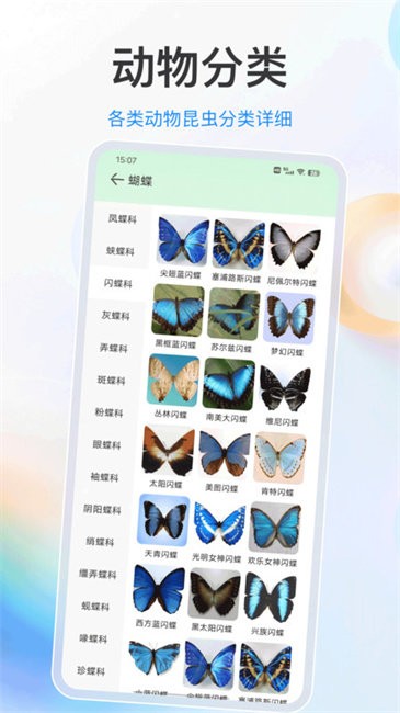 识别动物官方正版