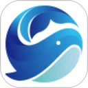 ��������app