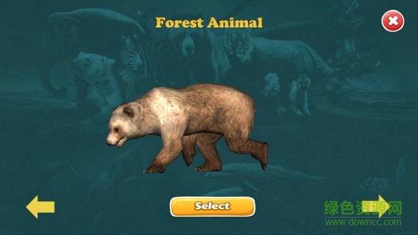 动物世界片尾曲2026手机版