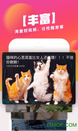 波波视频app下载 波波视频app下载