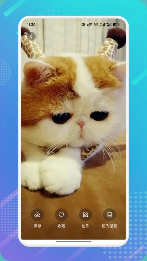 猫咪社区交友app最新版 猫咪社区交友app最新版