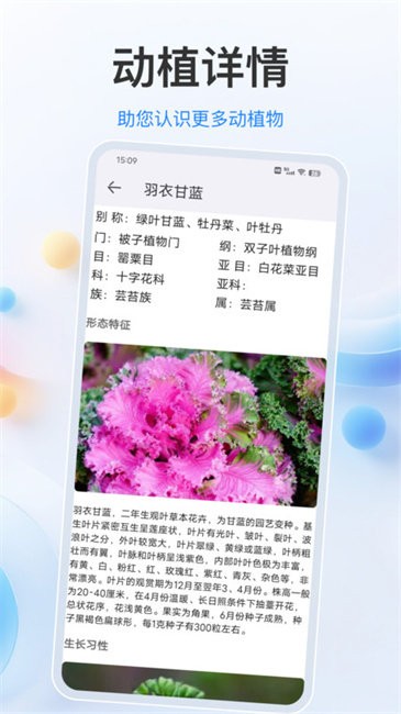 识别动物官方正版